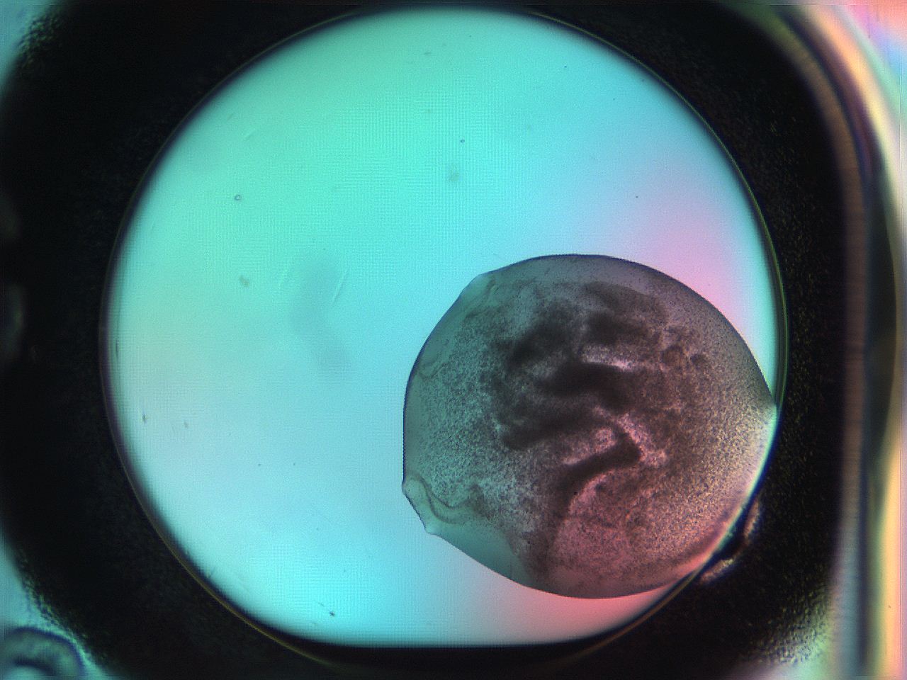 050q_G10_ImagerDefaults_6.jpg