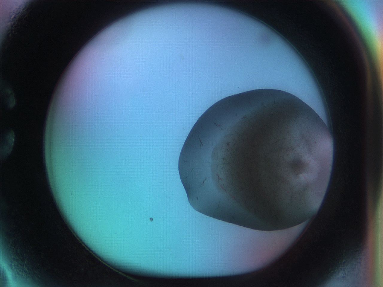050q_C3_ImagerDefaults_7.jpg