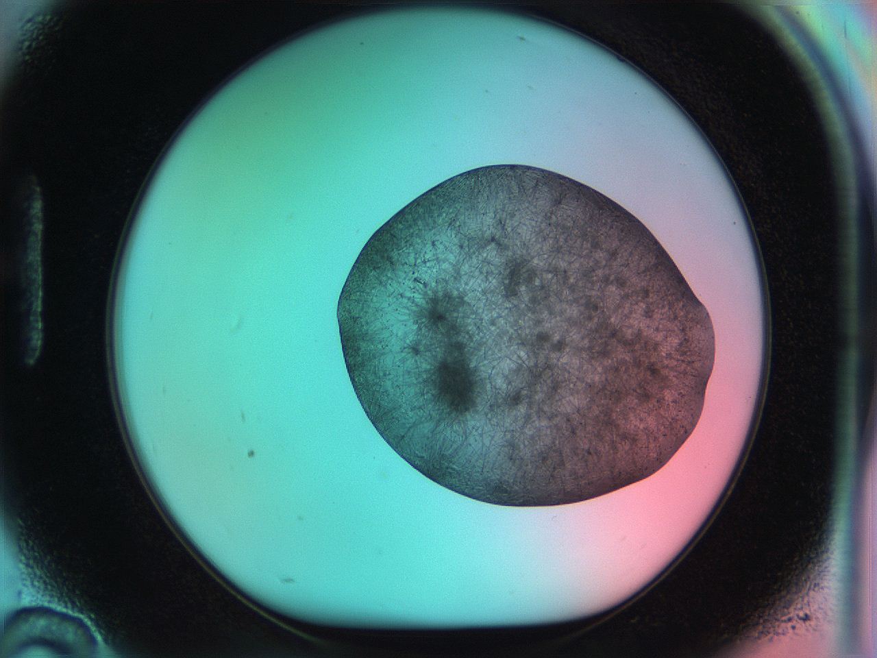 050r_H10_ImagerDefaults_8.jpg
