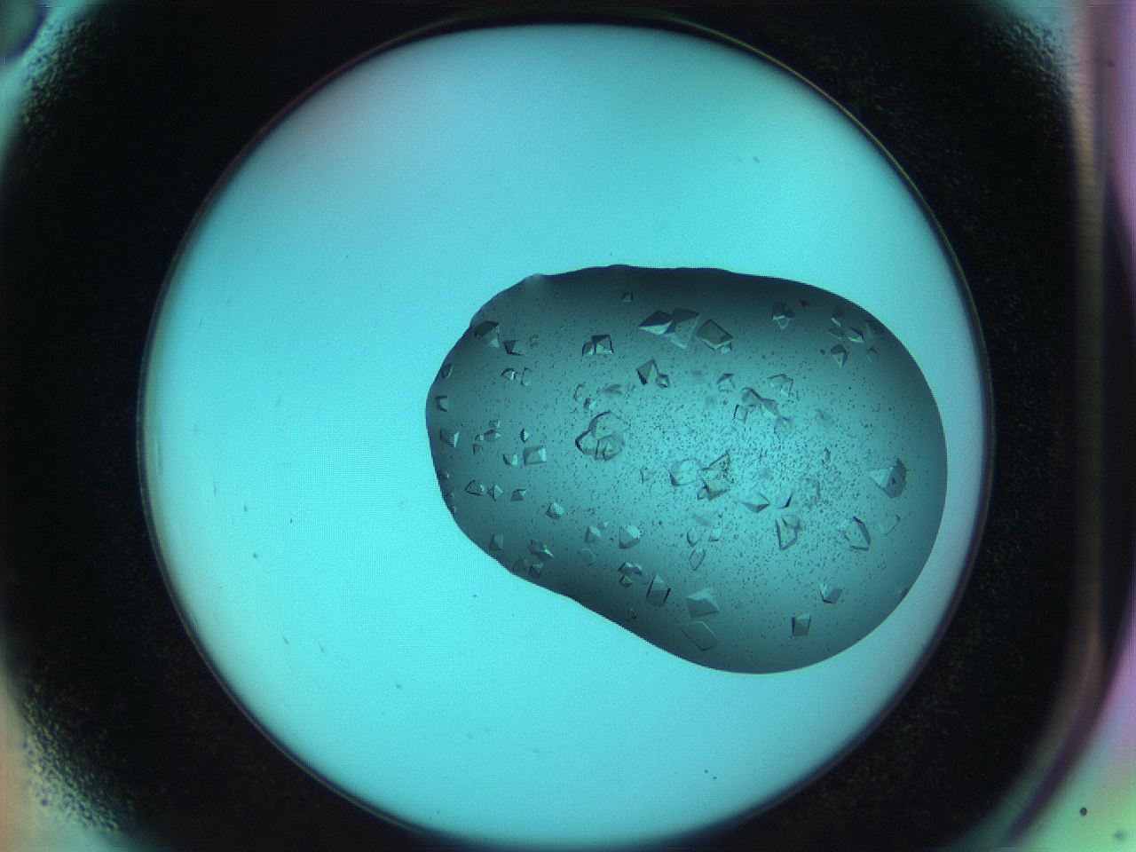 050r_A6_ImagerDefaults_9.jpg