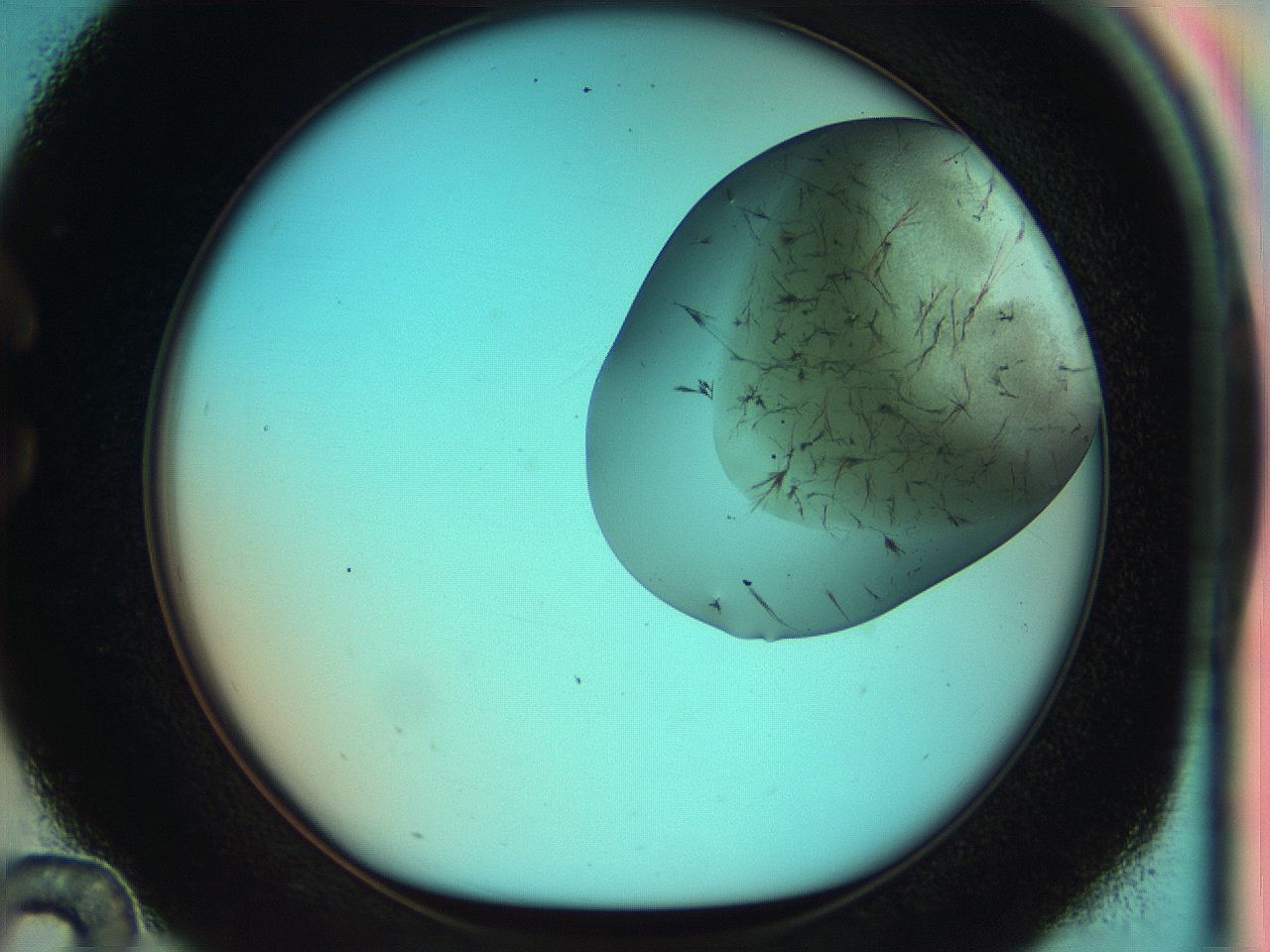 050t_C12_ImagerDefaults_7.jpg