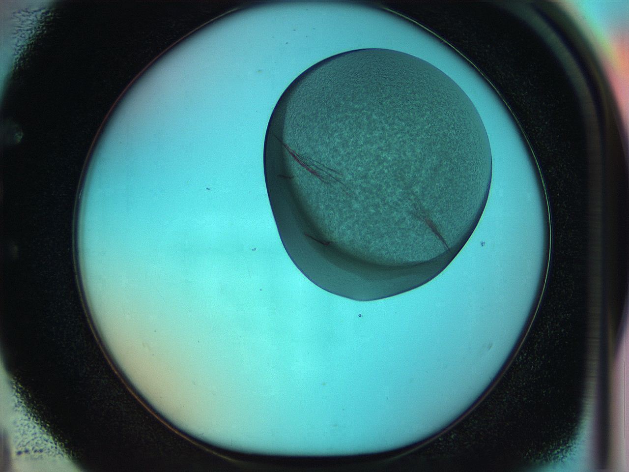 050t_E4_ImagerDefaults_7.jpg