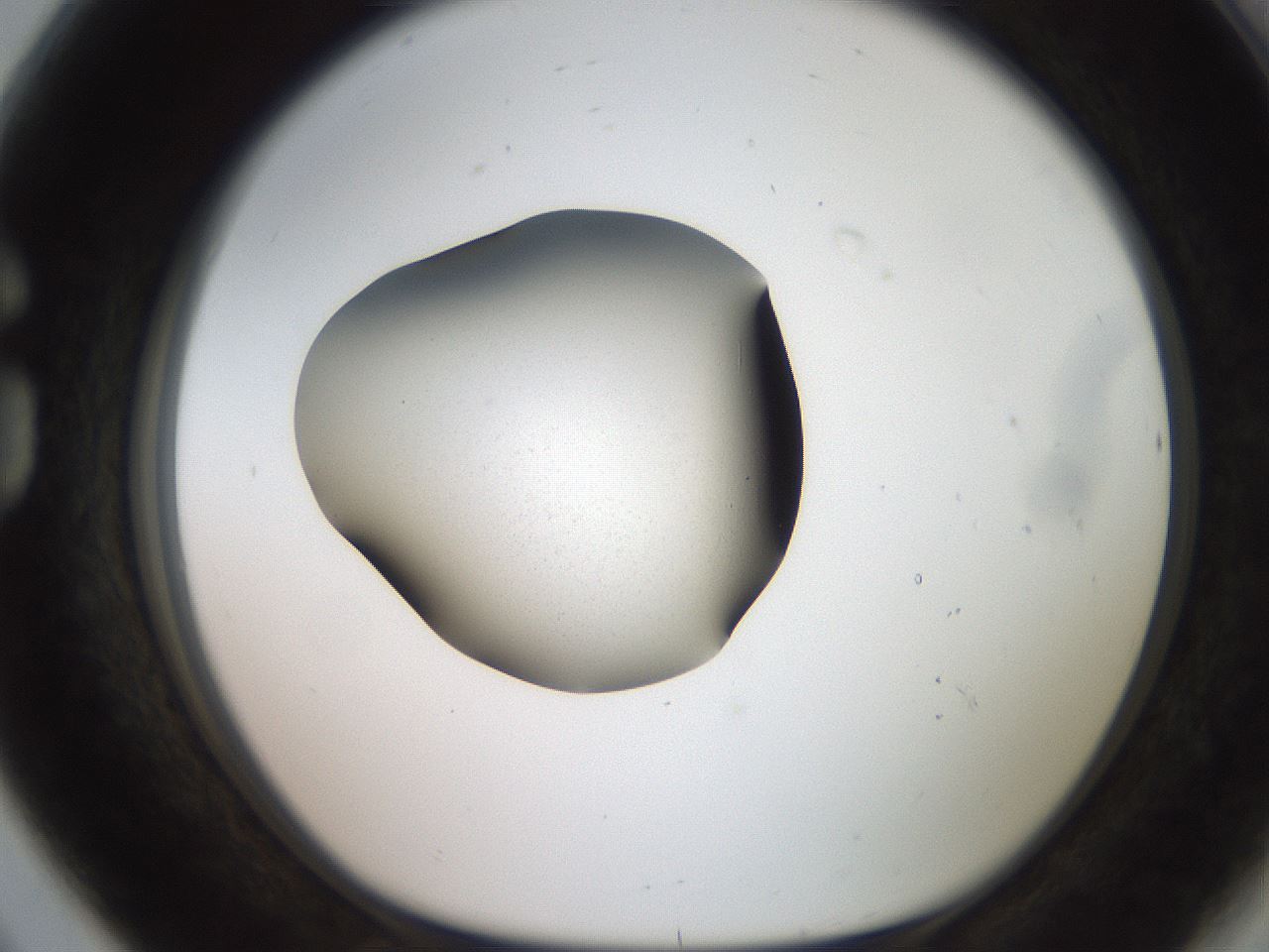folderID258_plateID2258_batchID10214_wellNum80_profileID1_d1_r156960_ef.jpg