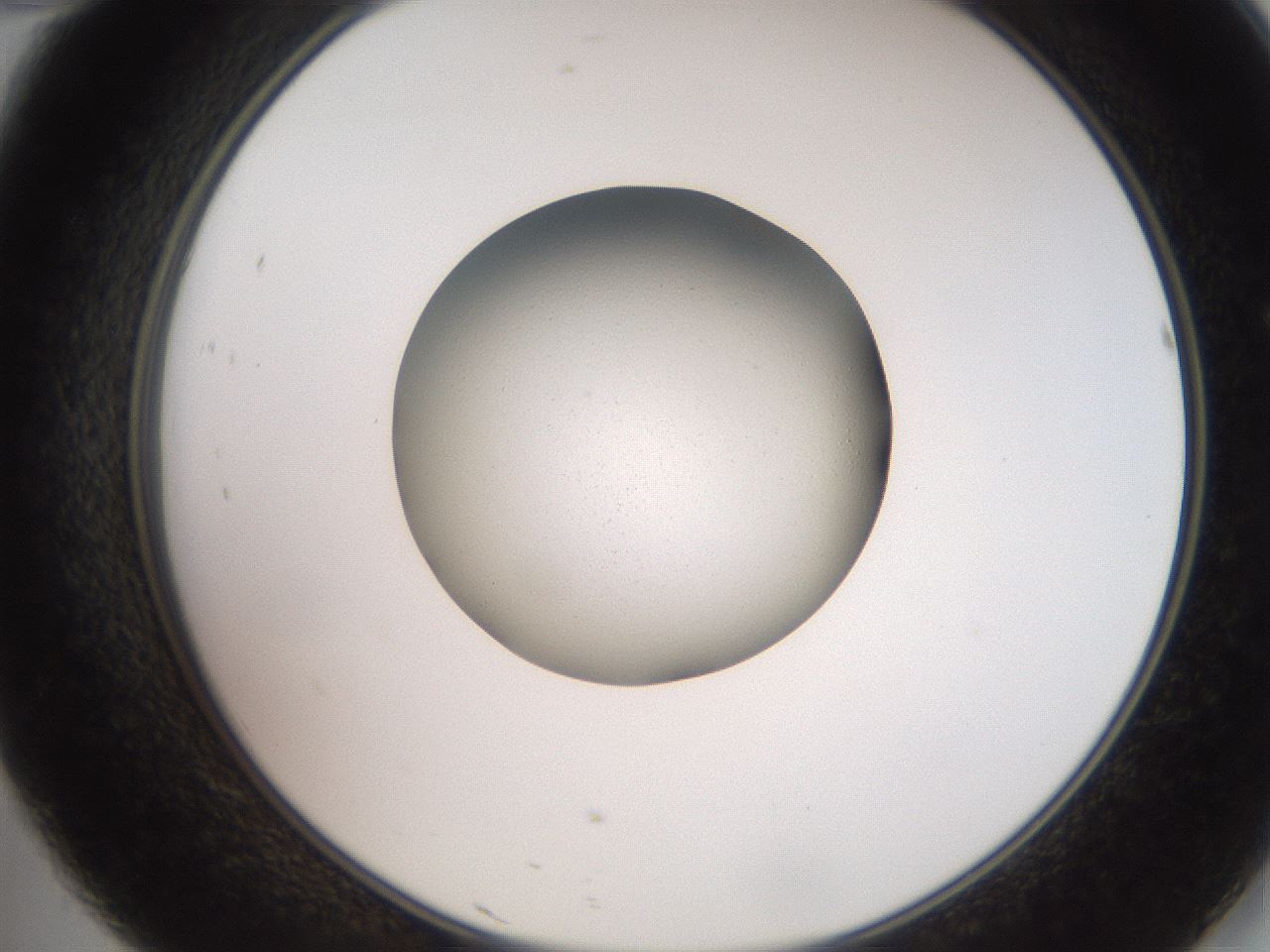 folderID258_plateID2258_batchID10916_wellNum46_profileID1_d2_r156893_ef.jpg