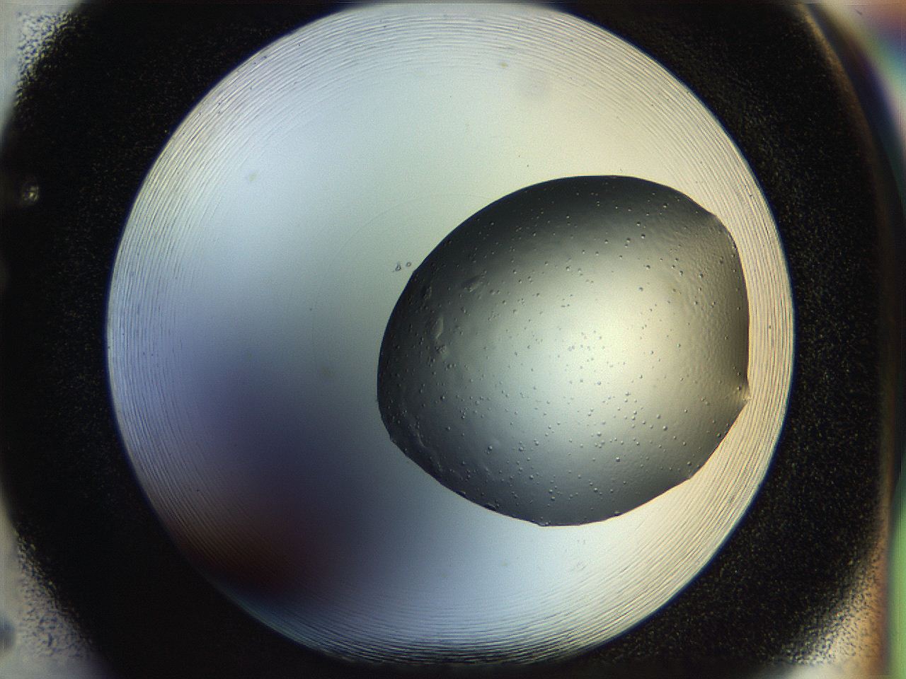 0518_F5_ImagerDefaults_9.jpg