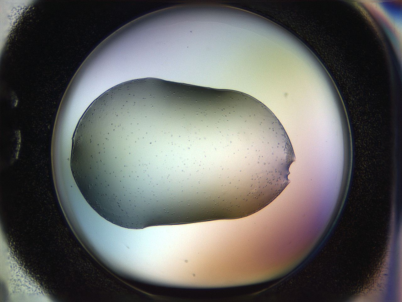 0518_G4_ImagerDefaults_9.jpg