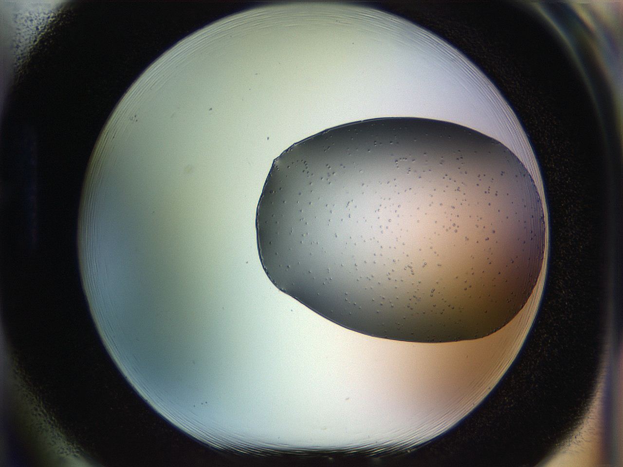 0518_H1_ImagerDefaults_9.jpg