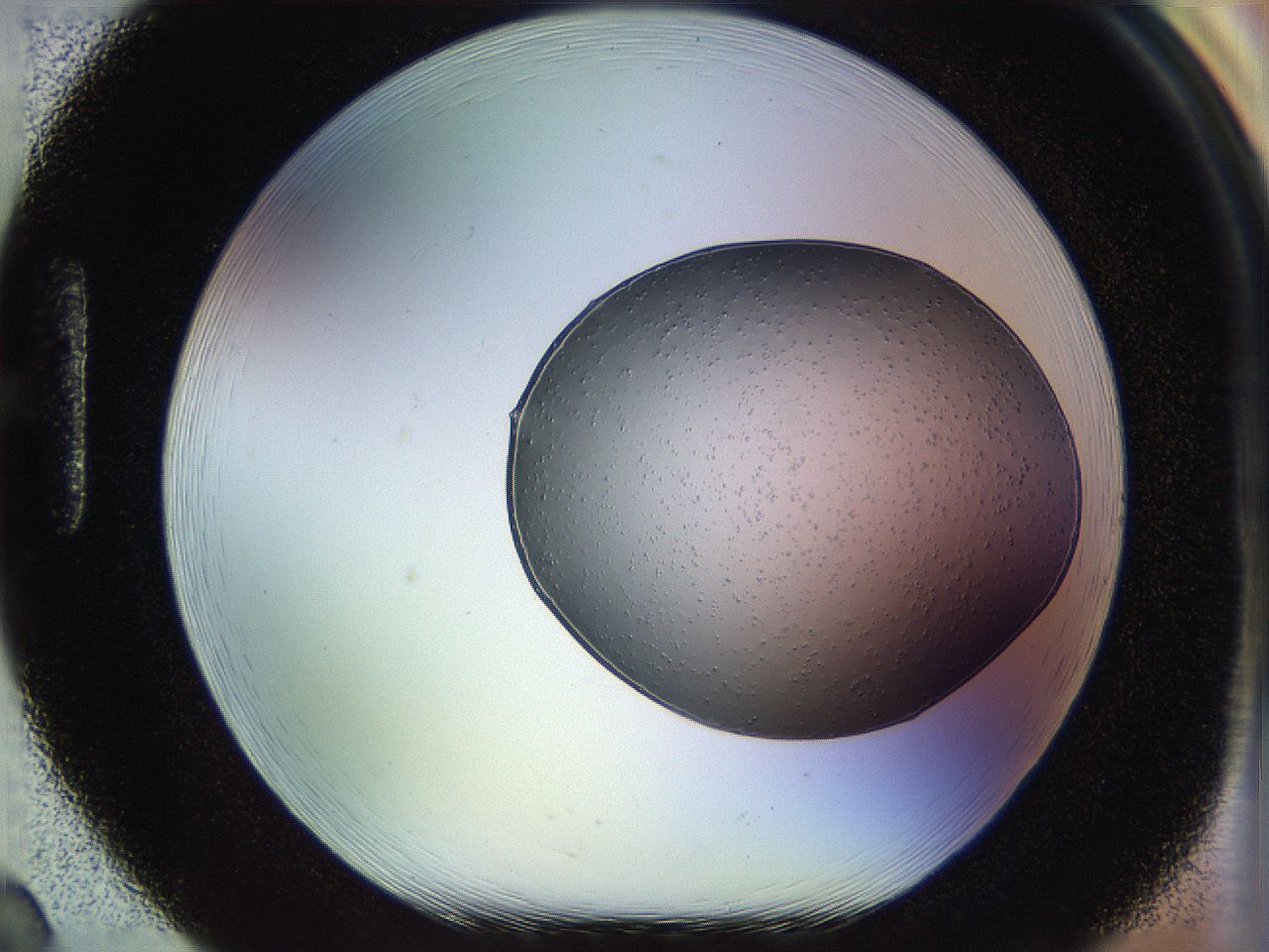 0518_H2_ImagerDefaults_9.jpg