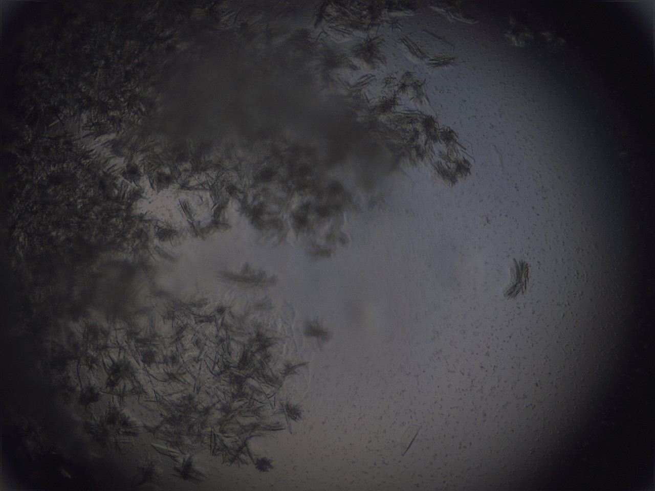 051c_A3_ImagerDefaults_9.jpg