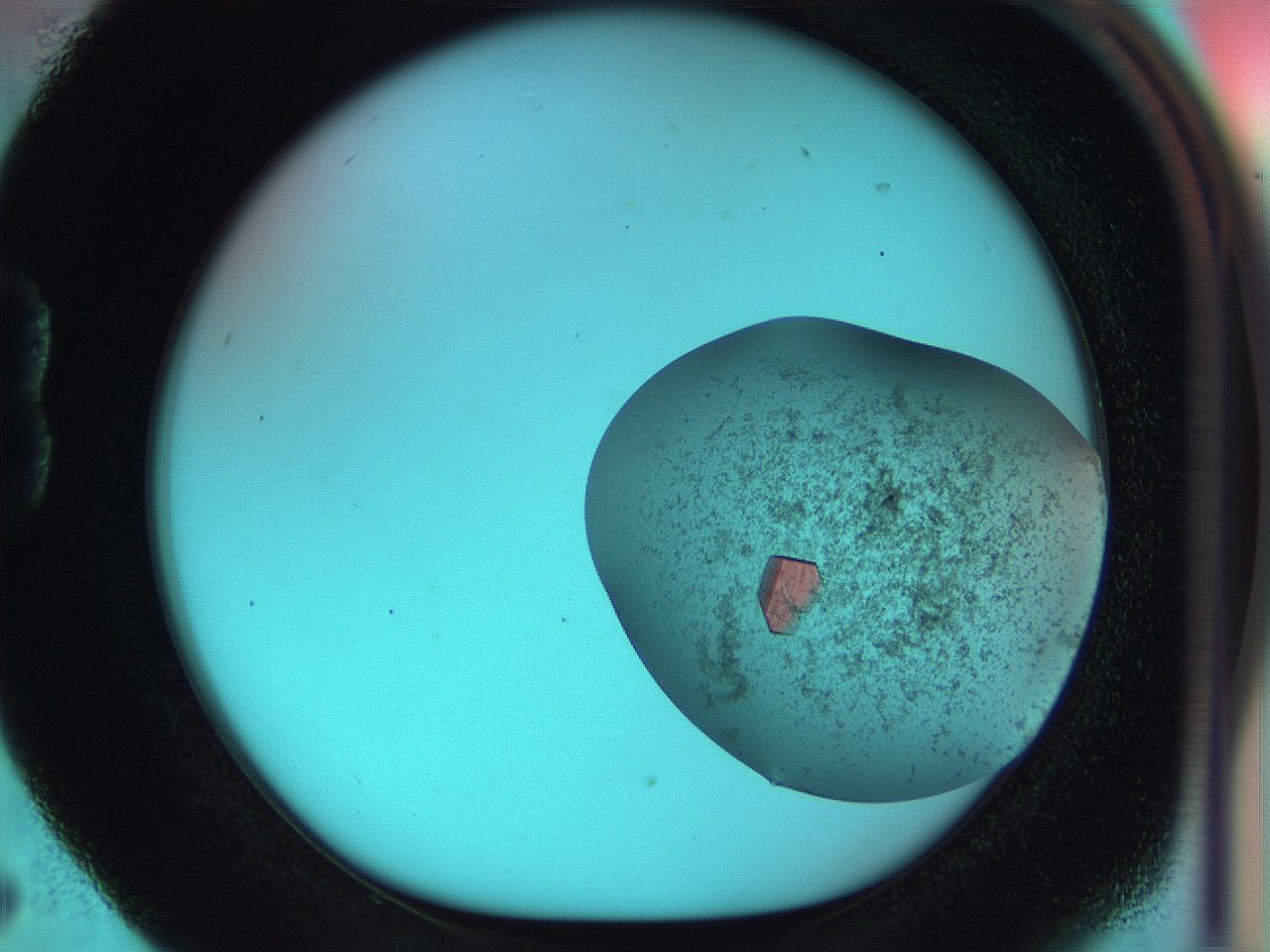 051d_B5_ImagerDefaults_8.jpg
