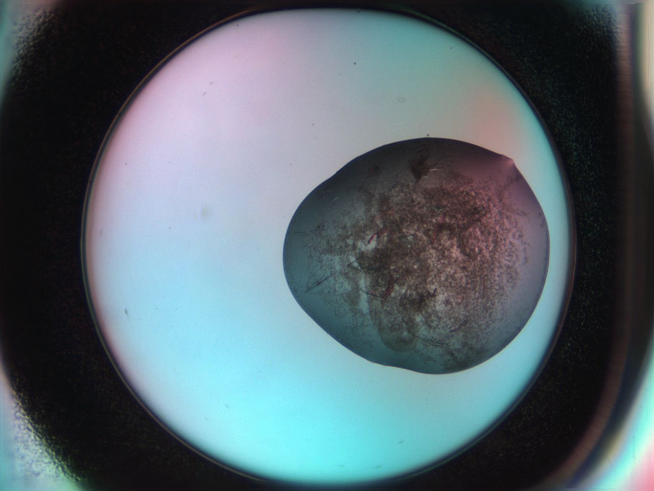 051f_F1_ImagerDefaults_7.jpg