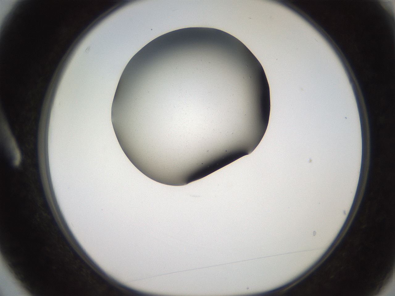 folderID259_plateID2259_batchID10541_wellNum3_profileID1_d1_r157190_ef.jpg