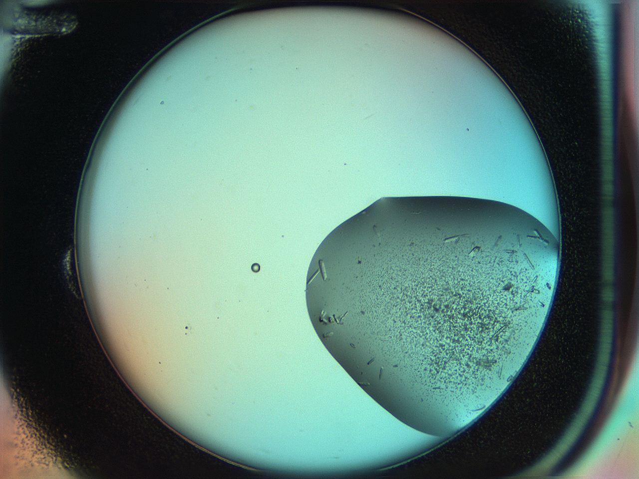051f_B12_ImagerDefaults_7.jpg