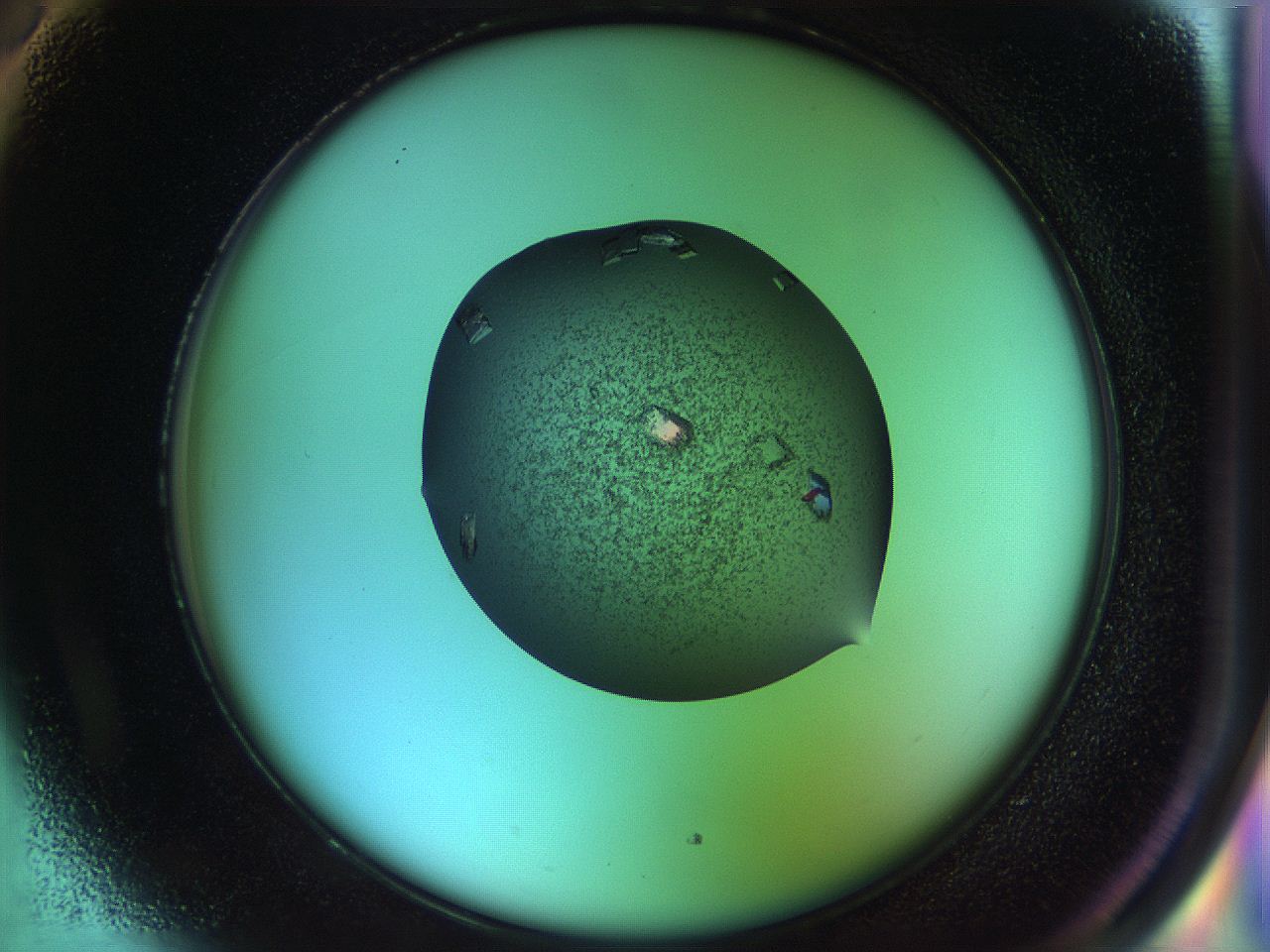 051f_H5_ImagerDefaults_9.jpg