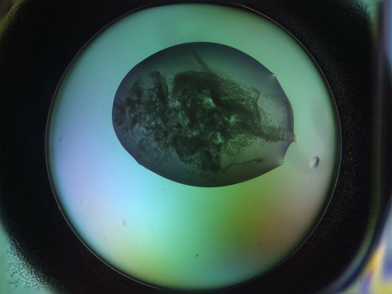 051f_H6_ImagerDefaults_8.jpg