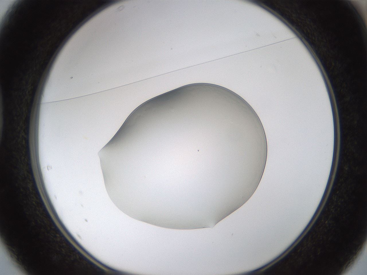 folderID260_plateID1260_batchID3820_wellNum37_profileID1_d1_r72892_ef.jpg