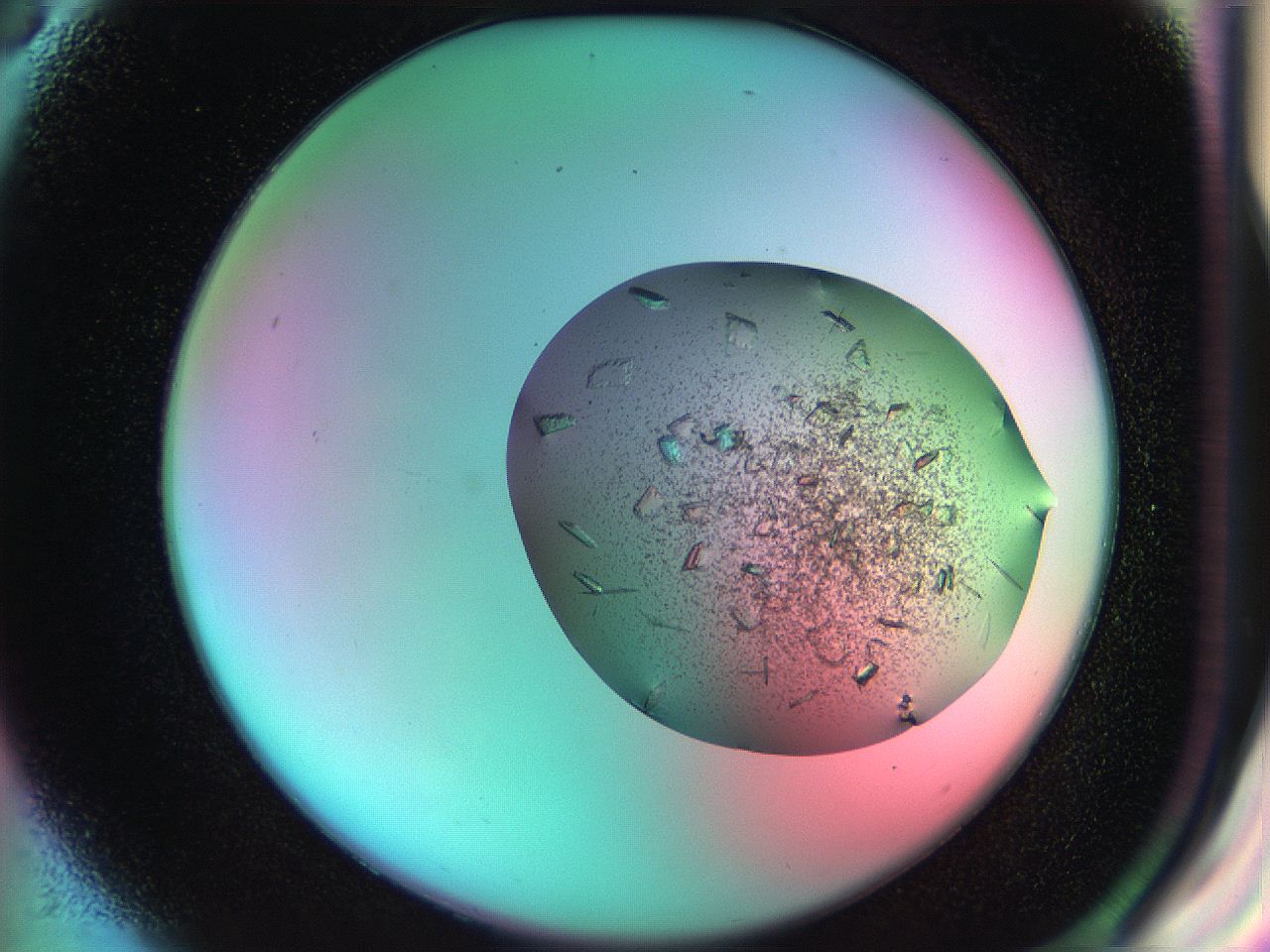 051f_G3_ImagerDefaults_9.jpg