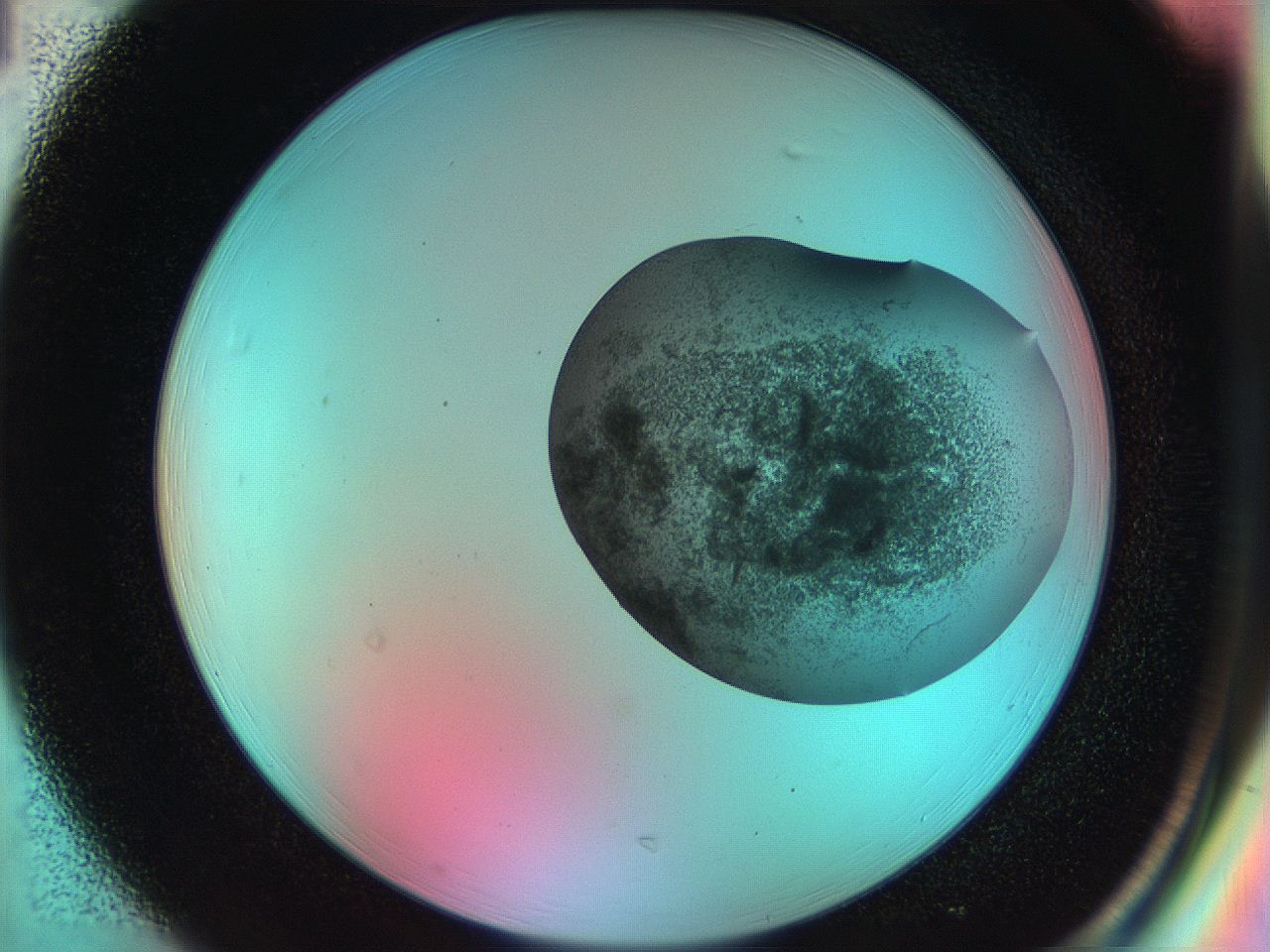 051f_H1_ImagerDefaults_7.jpg