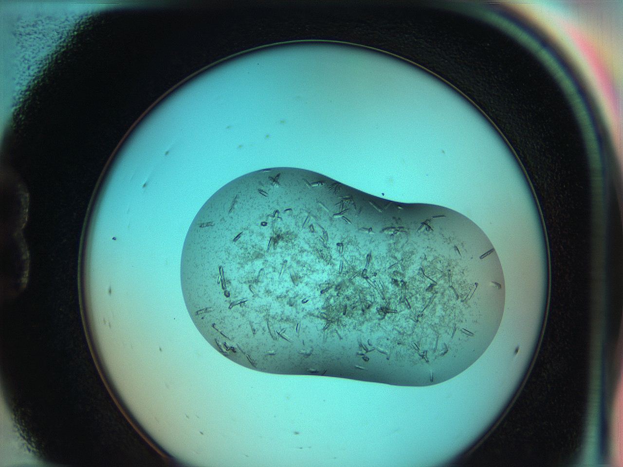 051g_B12_ImagerDefaults_8.jpg