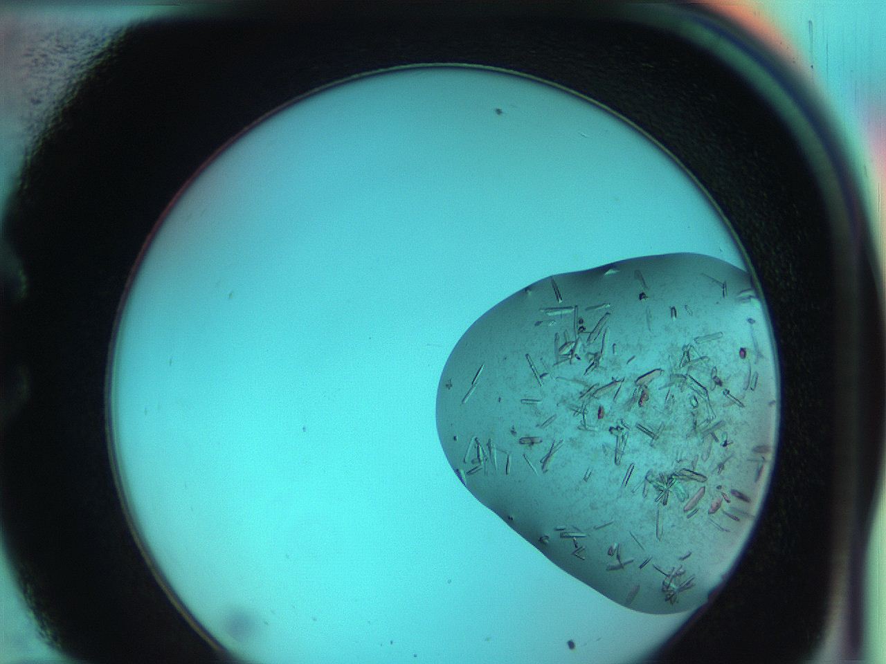 051g_C10_ImagerDefaults_9.jpg