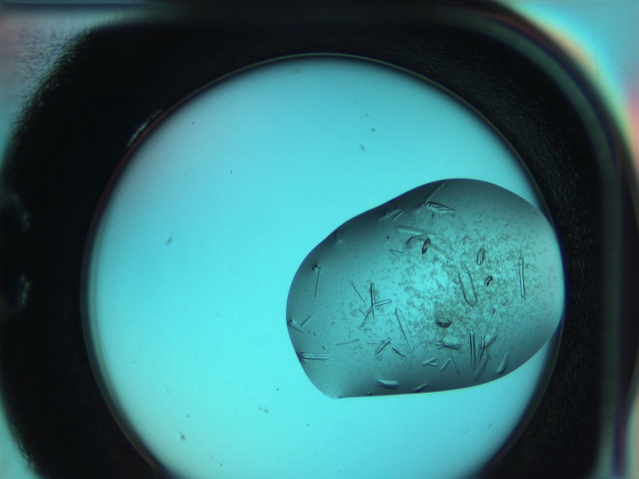 051g_C4_ImagerDefaults_9.jpg