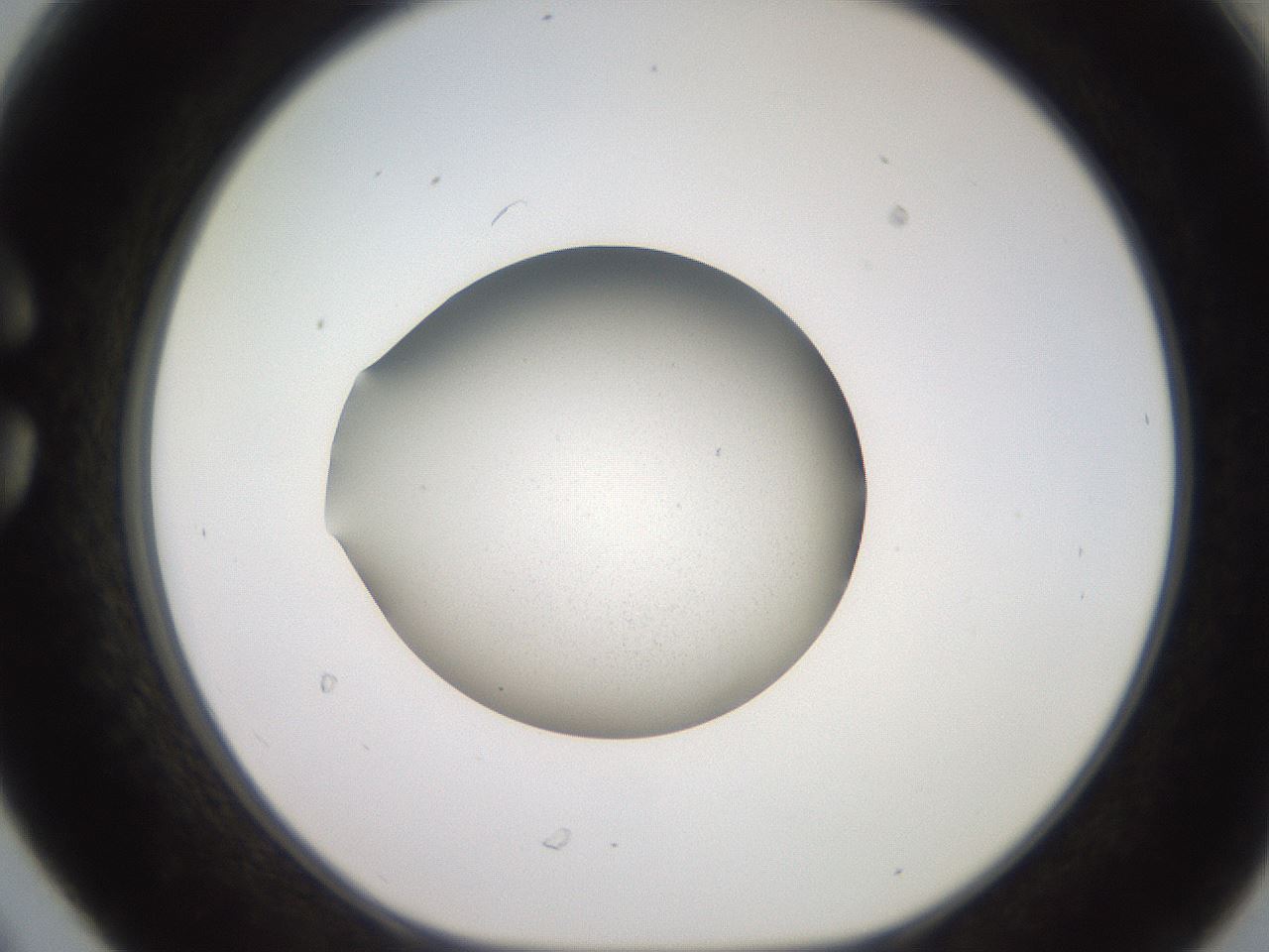 folderID260_plateID2260_batchID10192_wellNum30_profileID1_d1_r157052_ef.jpg