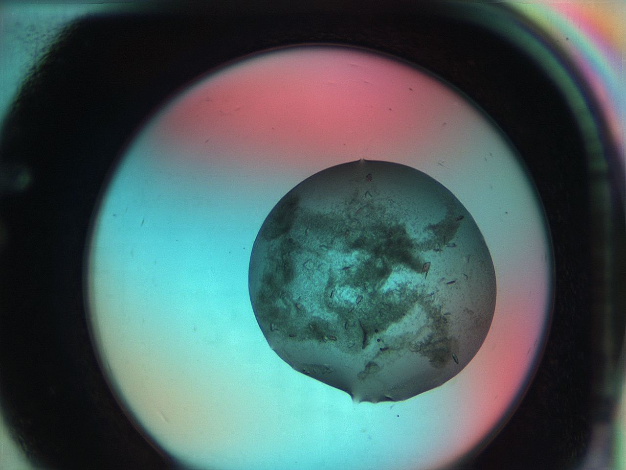 051g_F12_ImagerDefaults_9.jpg
