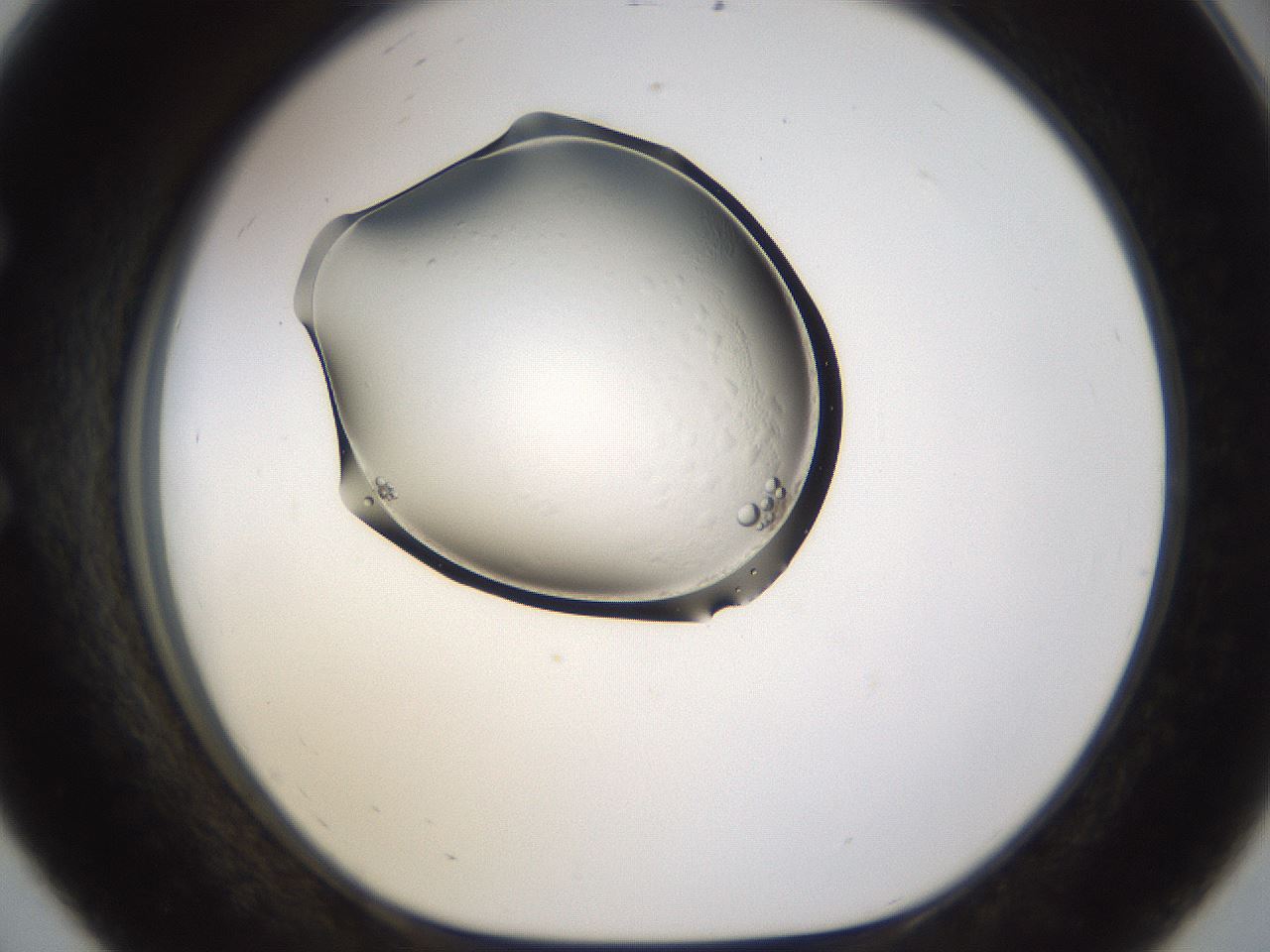 folderID263_plateID3263_batchID19550_wellNum56_profileID1_d1_r287248_ef.jpg