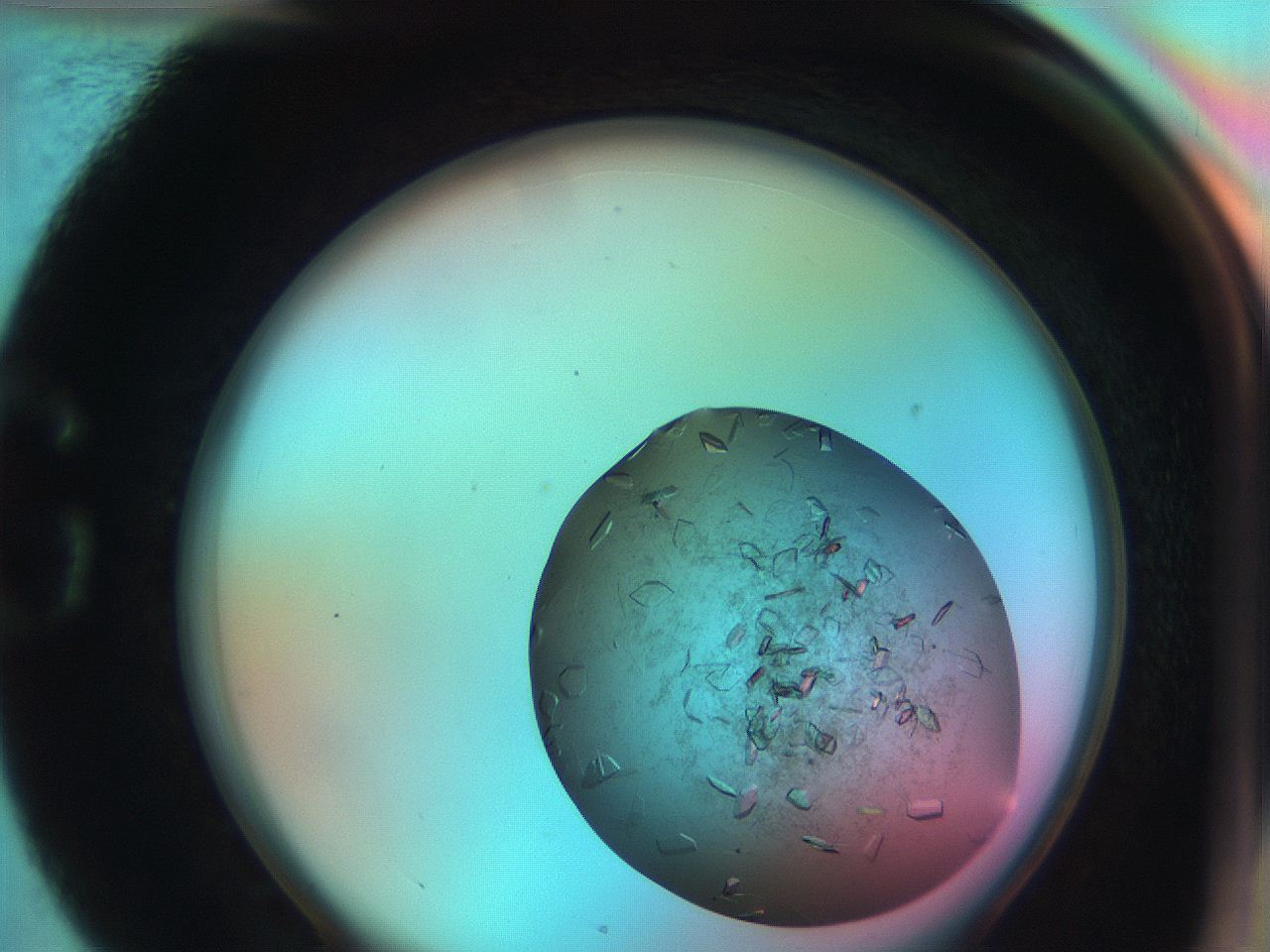 051g_G4_ImagerDefaults_9.jpg