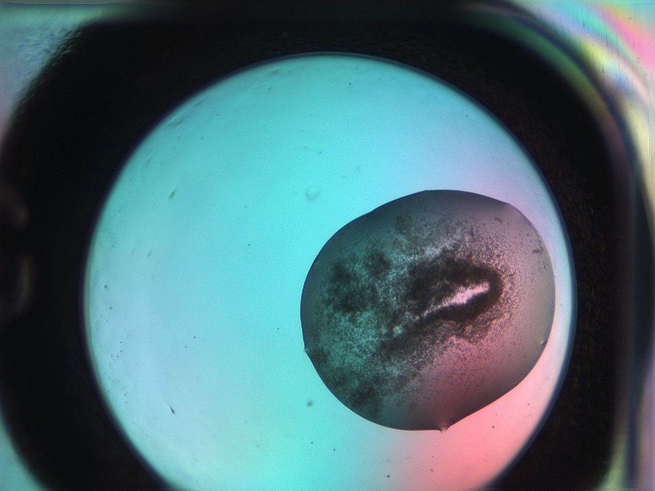 051g_G11_ImagerDefaults_8.jpg