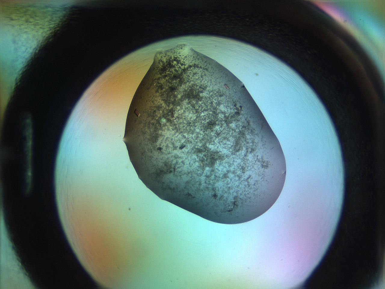 051g_H2_ImagerDefaults_9.jpg