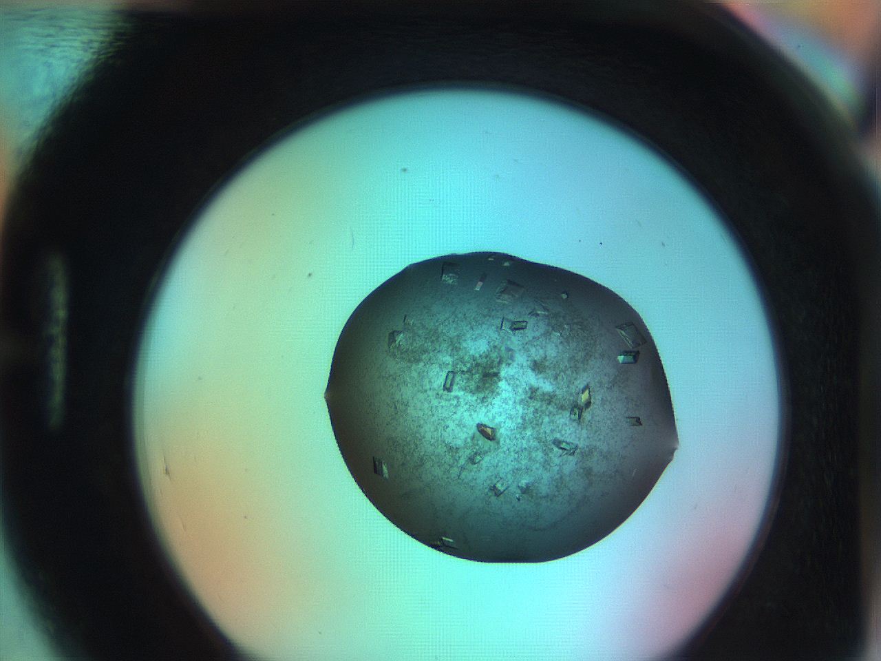 051g_H5_ImagerDefaults_9.jpg