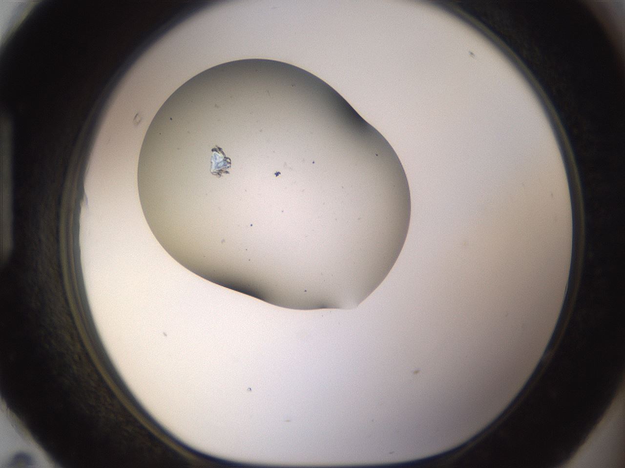 folderID265_plateID3265_batchID19010_wellNum95_profileID1_d1_r287883_ef.jpg