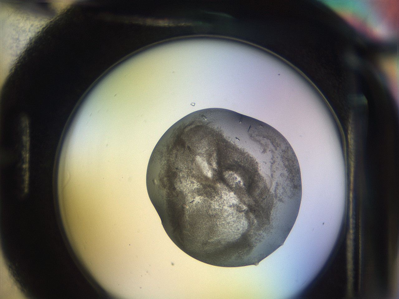051g_H6_ImagerDefaults_8.jpg