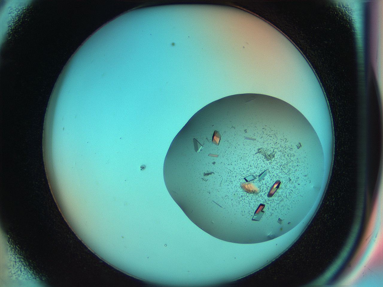 051h_C9_ImagerDefaults_9.jpg