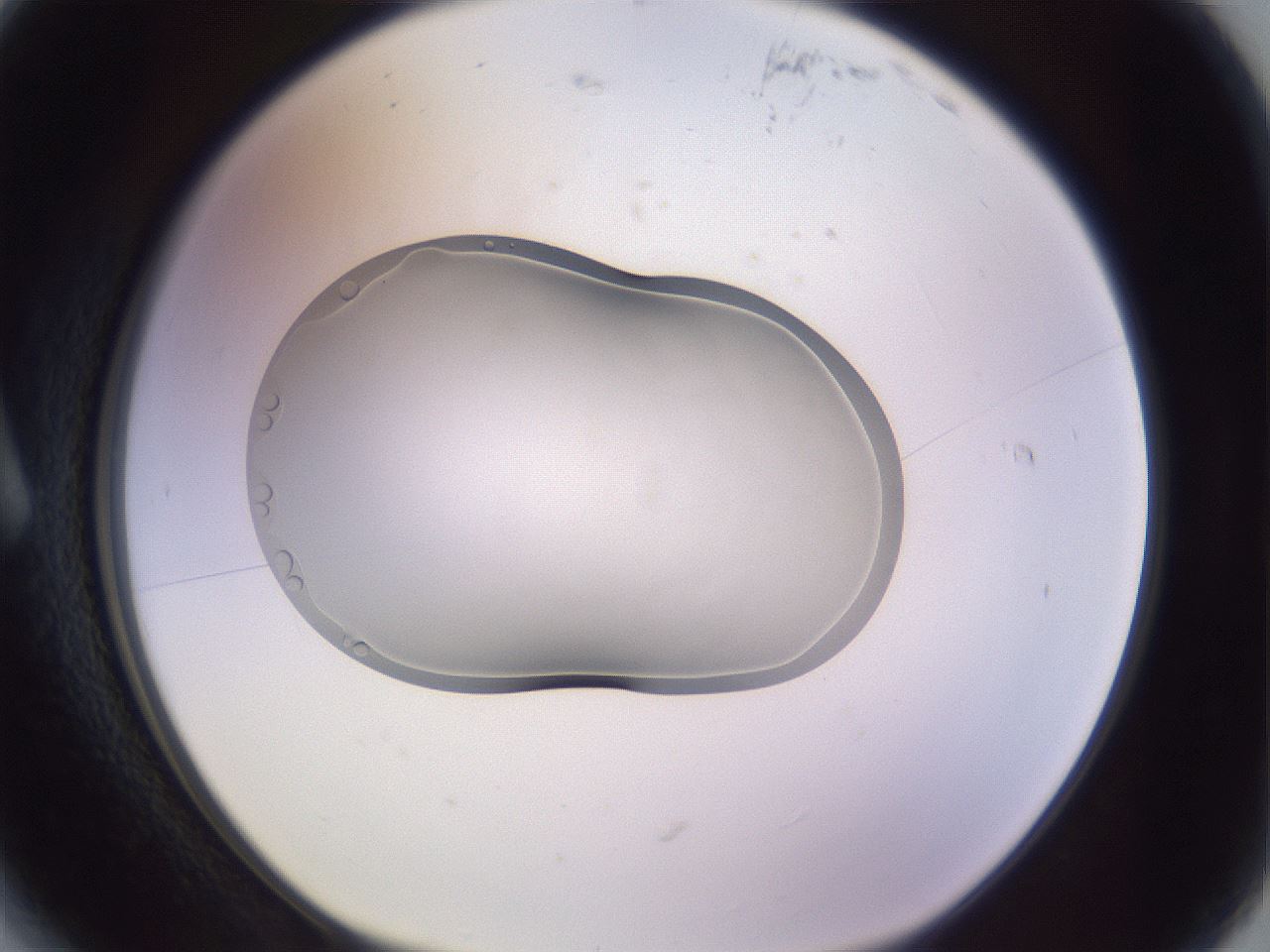 folderID266_plateID3266_batchID19553_wellNum6_profileID1_d1_r287513_ef.jpg