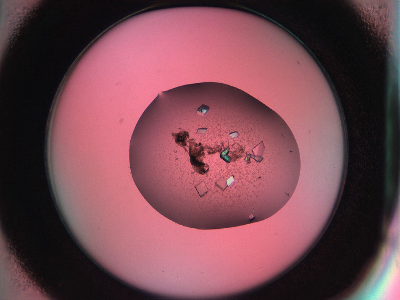 051h_D1_ImagerDefaults_9.jpg