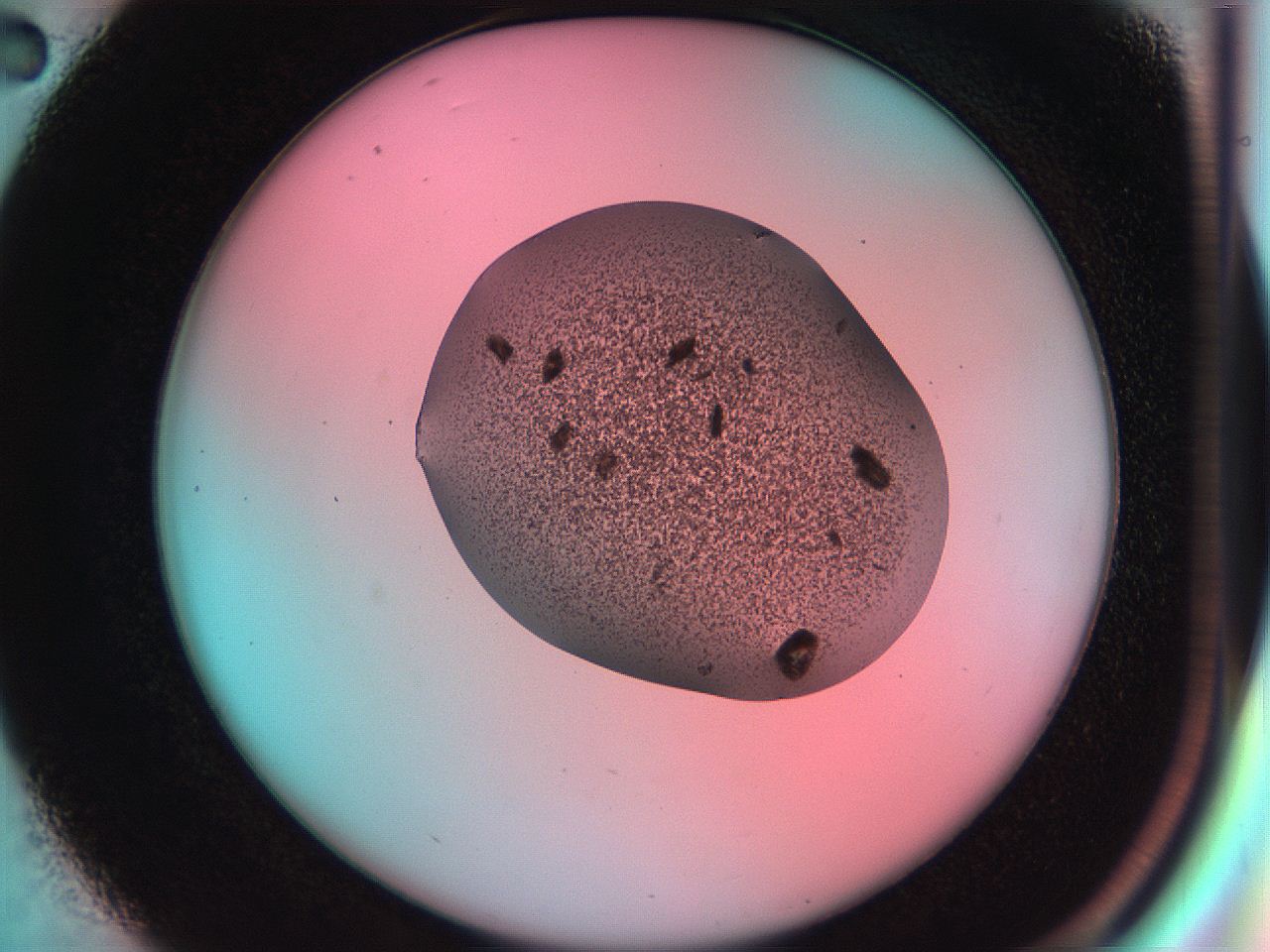 051h_D2_ImagerDefaults_9.jpg