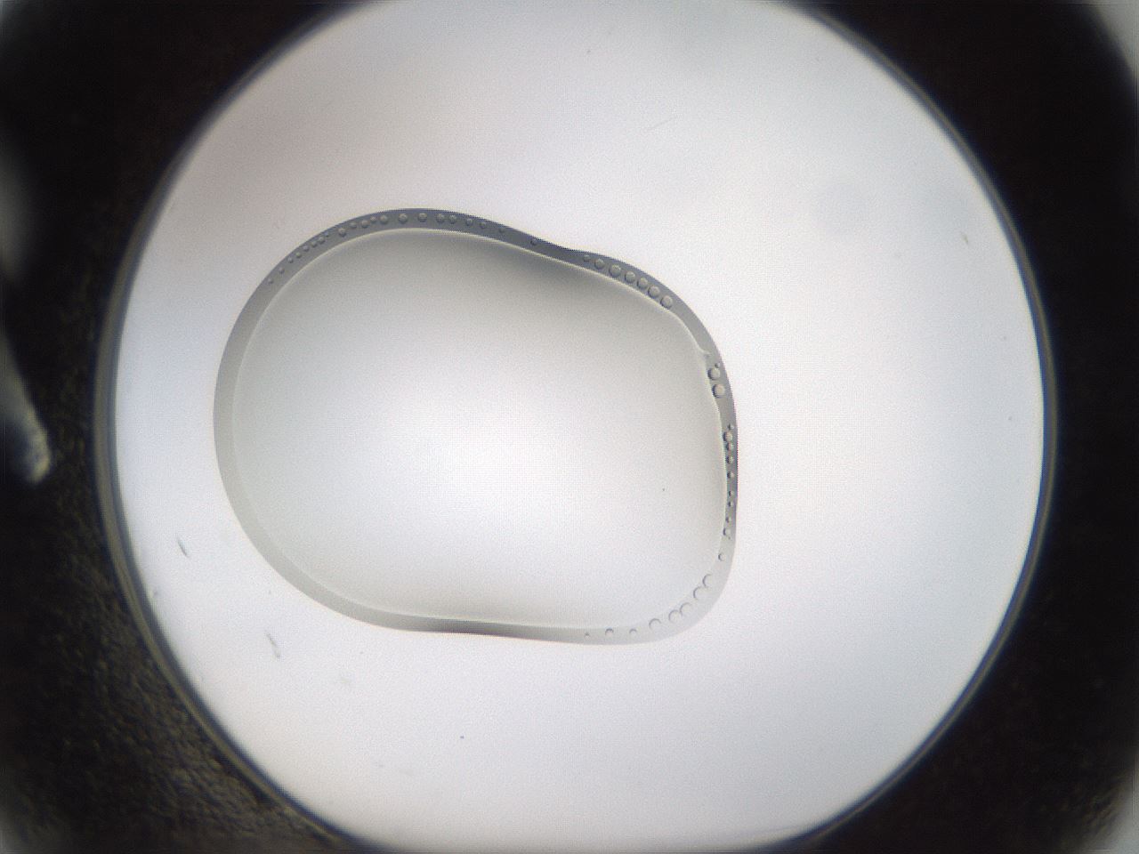 folderID267_plateID3267_batchID18861_wellNum2_profileID1_d1_r286737_ef.jpg