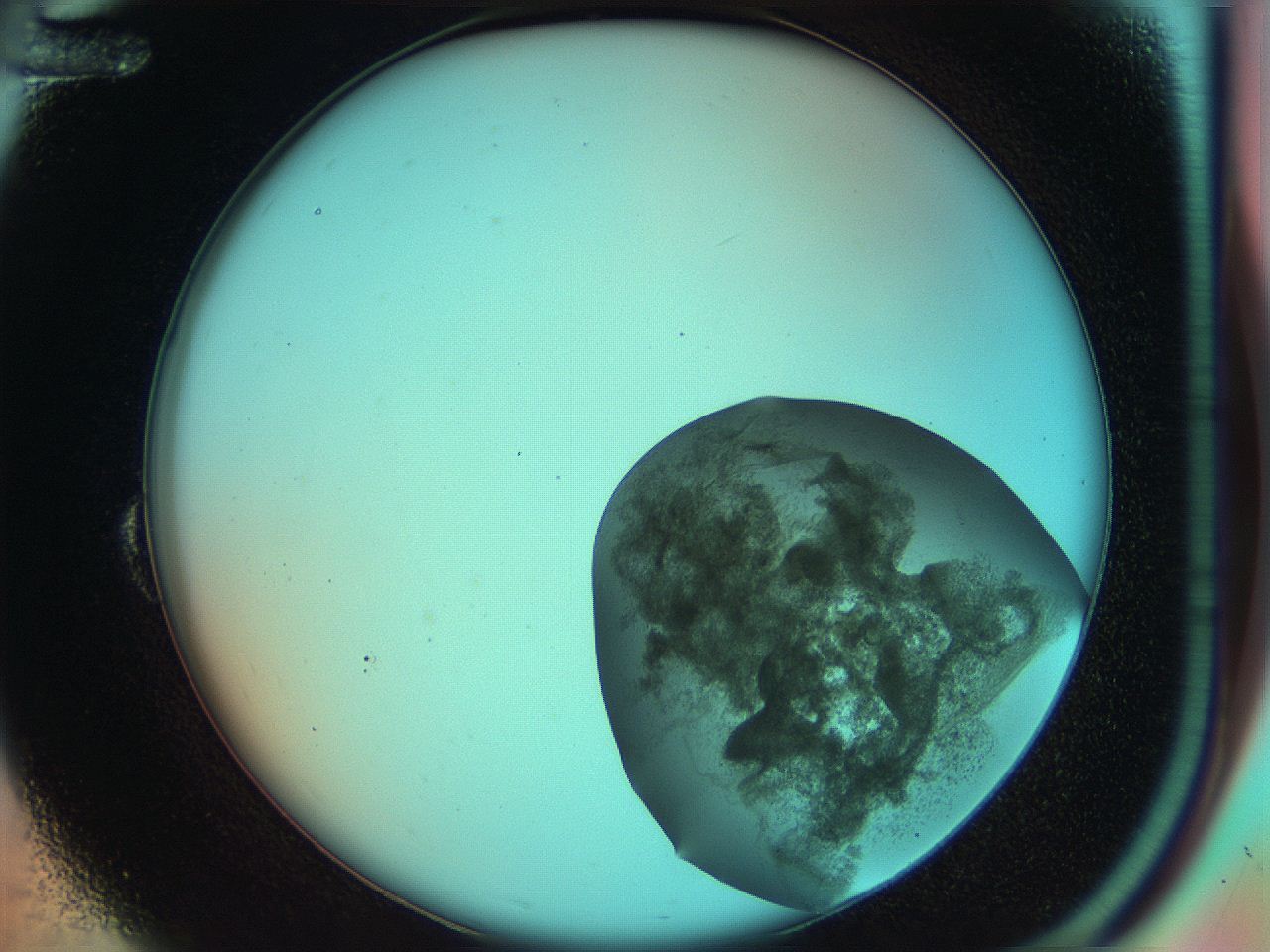 051h_B12_ImagerDefaults_7.jpg