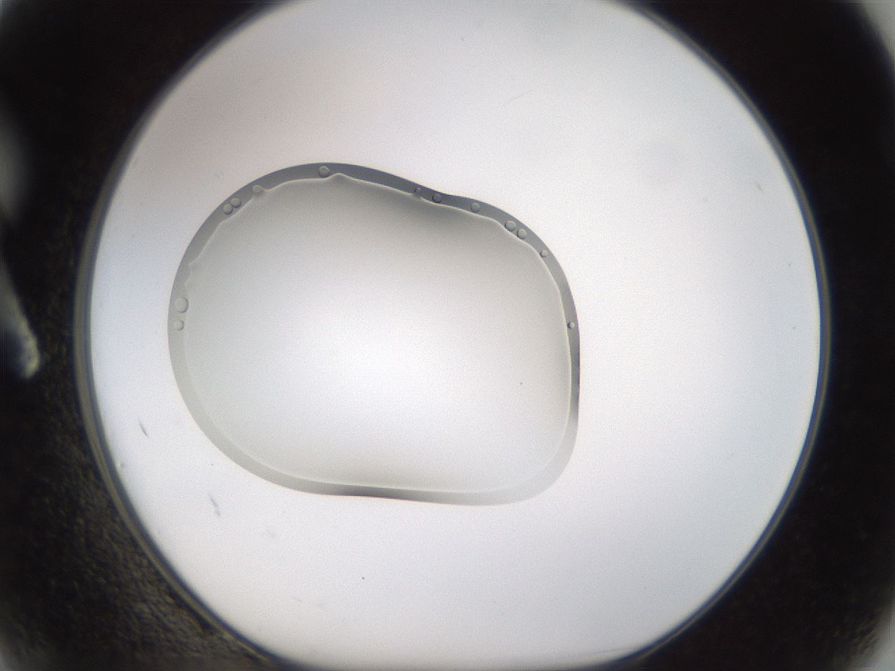 folderID267_plateID3267_batchID19548_wellNum2_profileID1_d1_r286737_ef.jpg