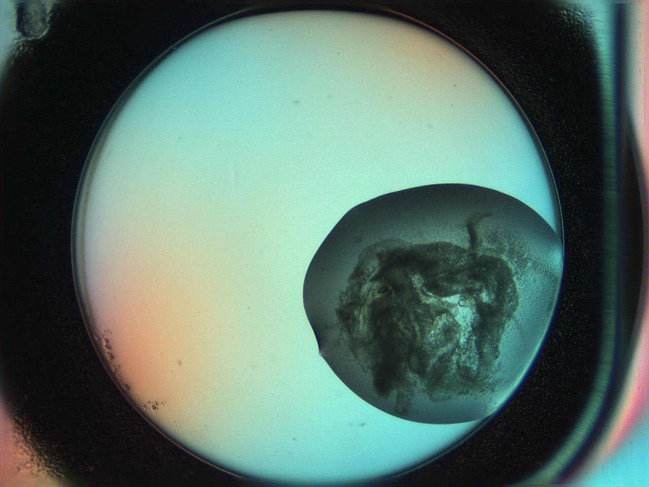 051h_B11_ImagerDefaults_7.jpg