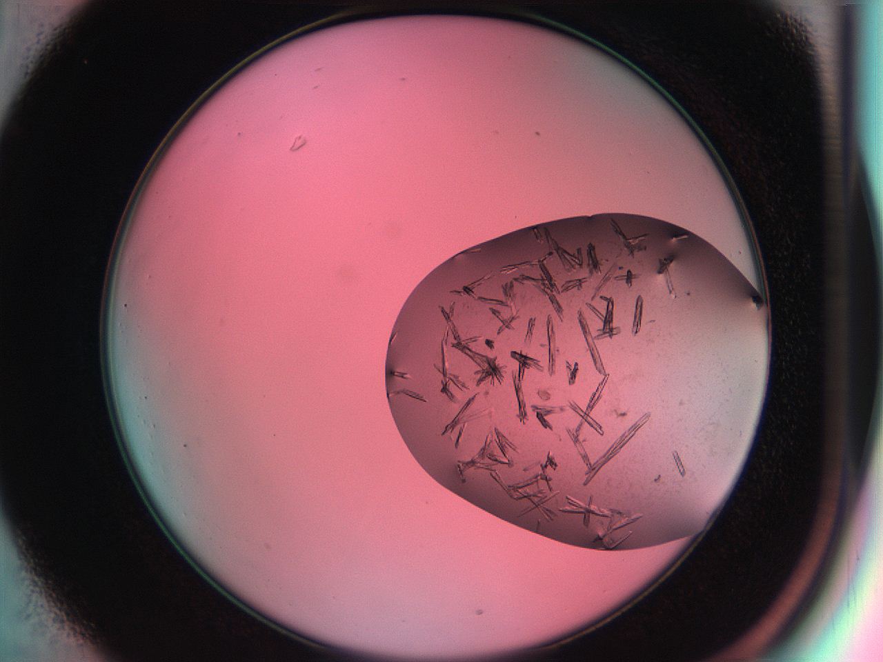 051h_C1_ImagerDefaults_7.jpg
