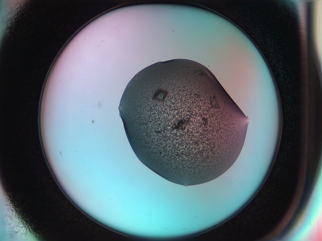 051h_F1_ImagerDefaults_9.jpg