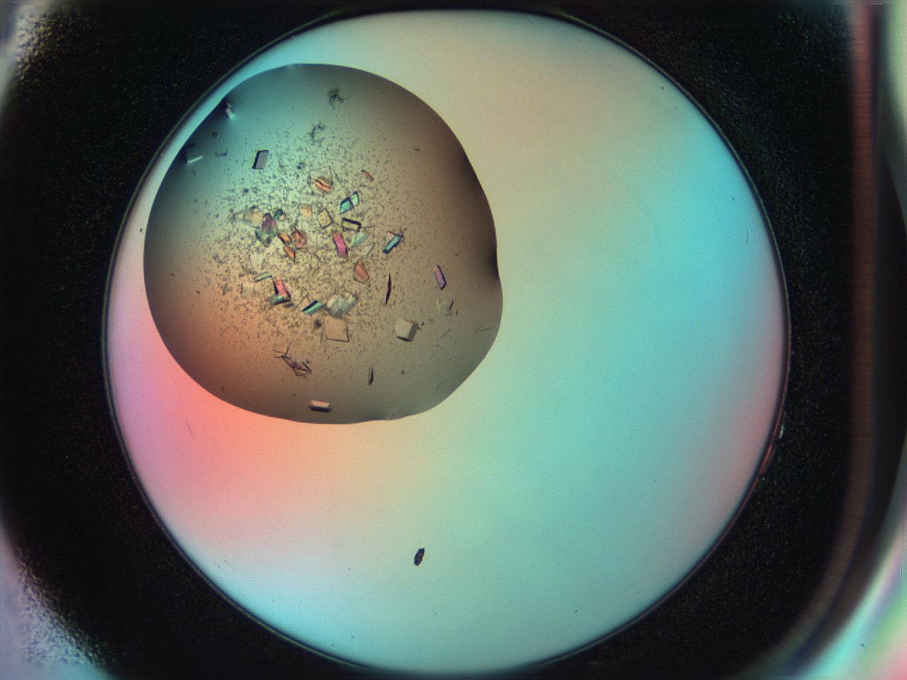 051h_F4_ImagerDefaults_9.jpg