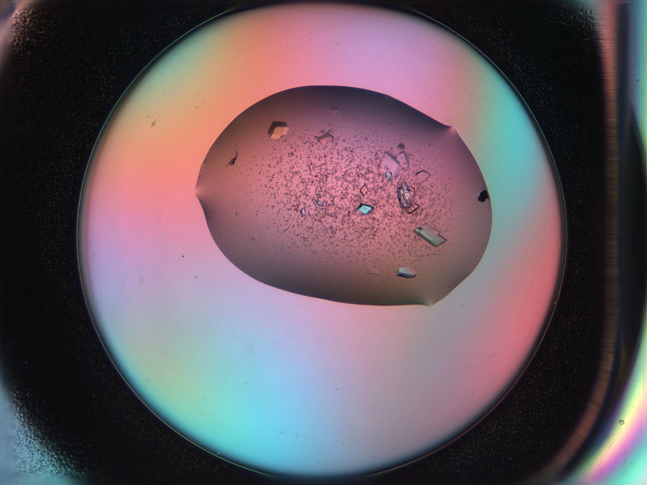 051h_F6_ImagerDefaults_9.jpg