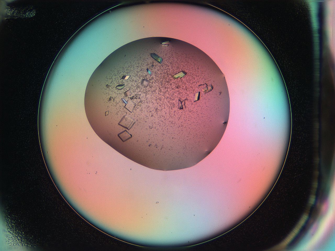 051h_F12_ImagerDefaults_9.jpg