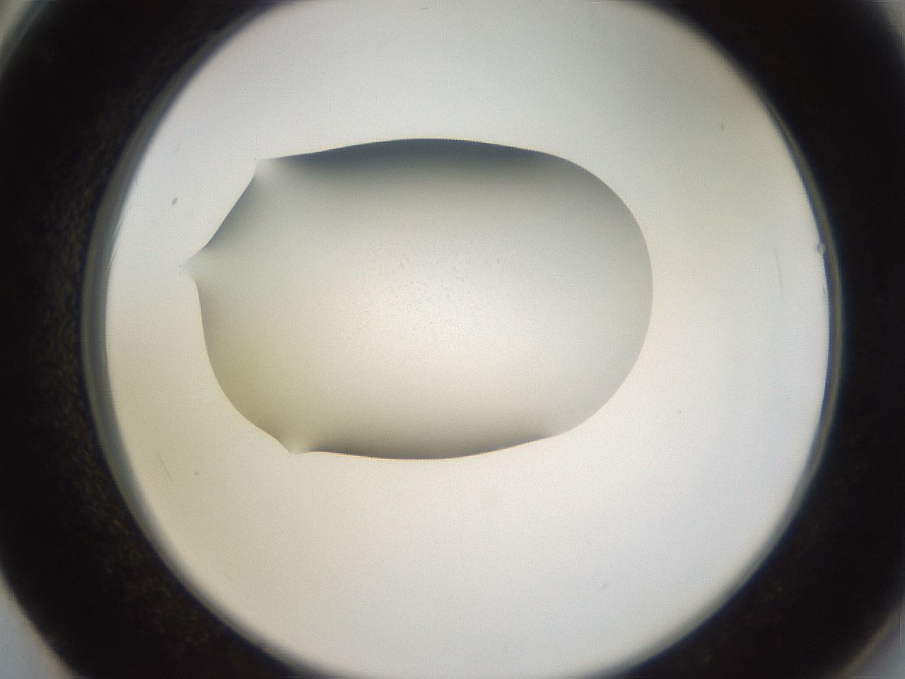 folderID26_plateID3026_batchID16603_wellNum62_profileID1_d2_r253860_ef.jpg
