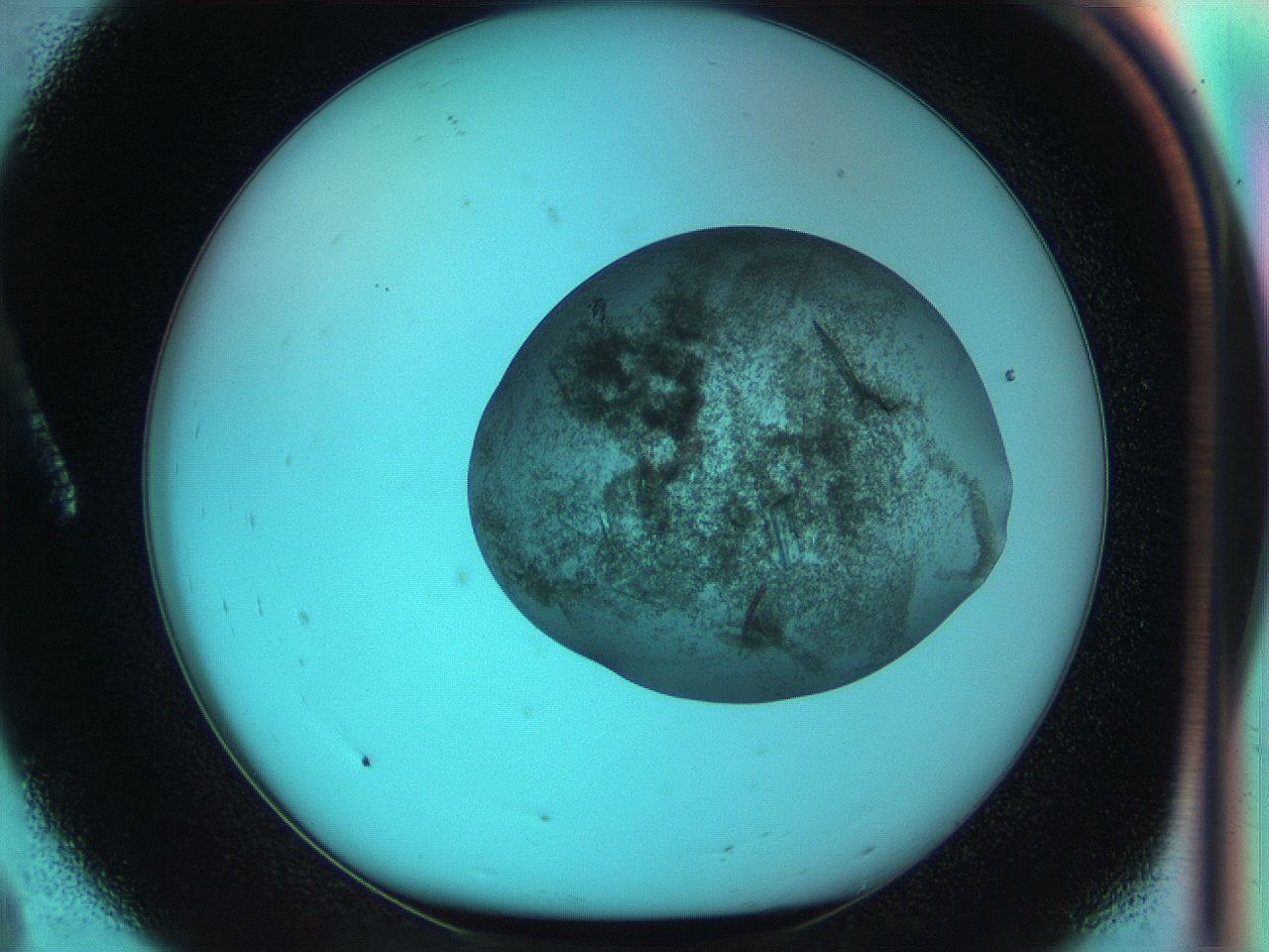 051i_A8_ImagerDefaults_8.jpg