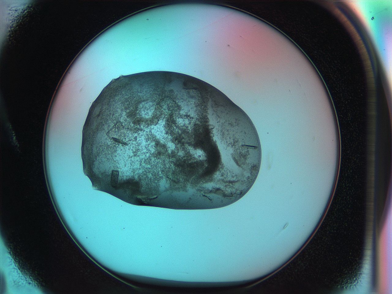 051i_A4_ImagerDefaults_8.jpg